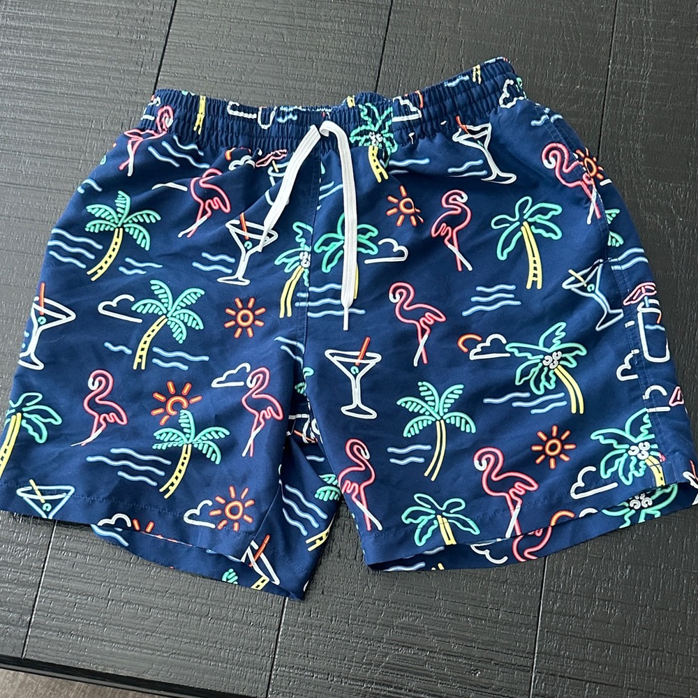 Chubbies Navy and Green Swim Shorts